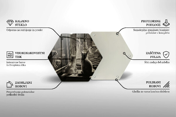 Üveg vágódeszka Macskák város és ablak