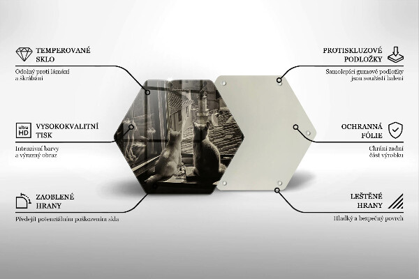 Üveg vágódeszka Macskák város és ablak