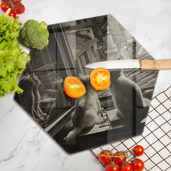 Üveg vágódeszka Macskák város és ablak