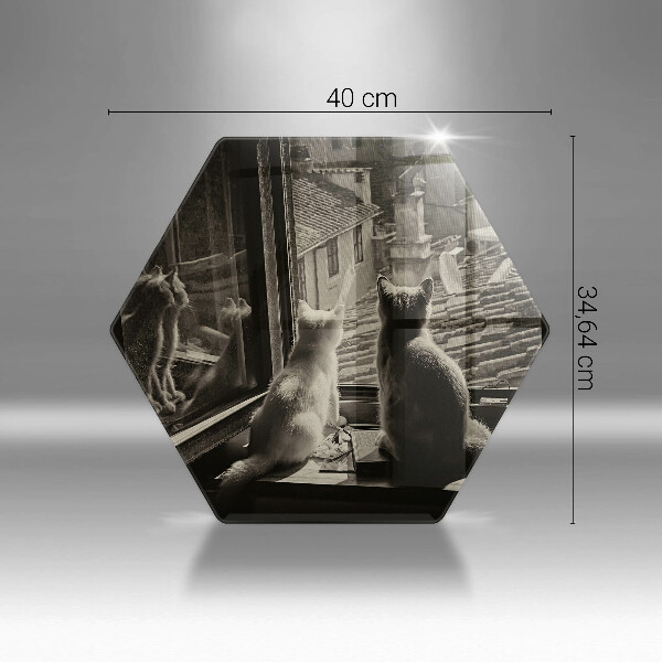 Üveg vágódeszka Macskák város és ablak