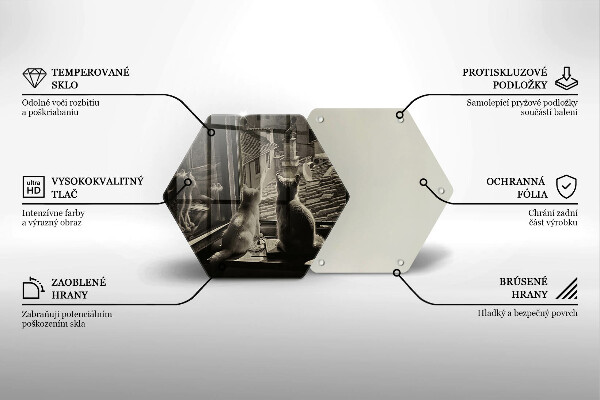 Üveg vágódeszka Macskák város és ablak