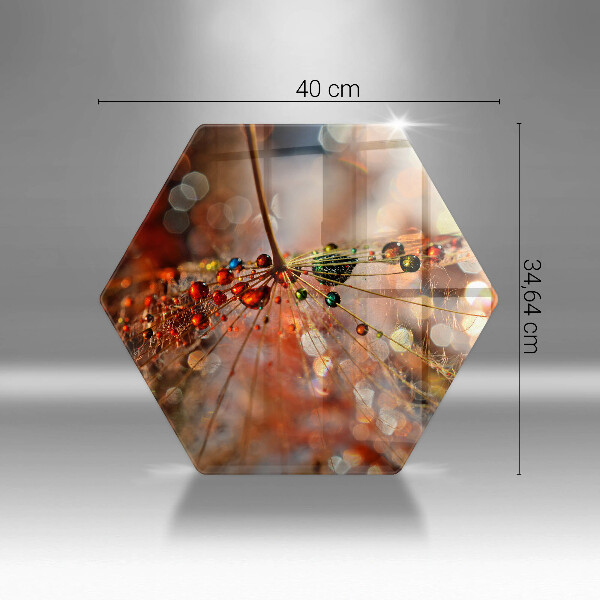 Üveg vágódeszka Nedves pitypang