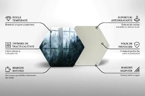 Üveg vágódeszka Erdei fák és köd