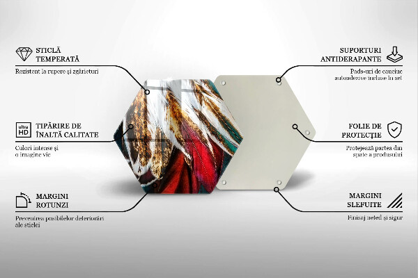 Üveg vágódeszka Boho madártollak