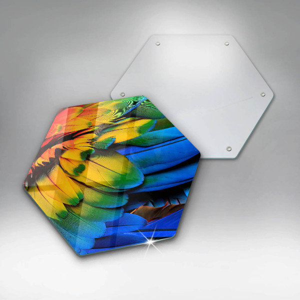 Üveg vágódeszka Színes papagáj toll
