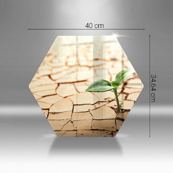 Üveg vágódeszka Magányos növény