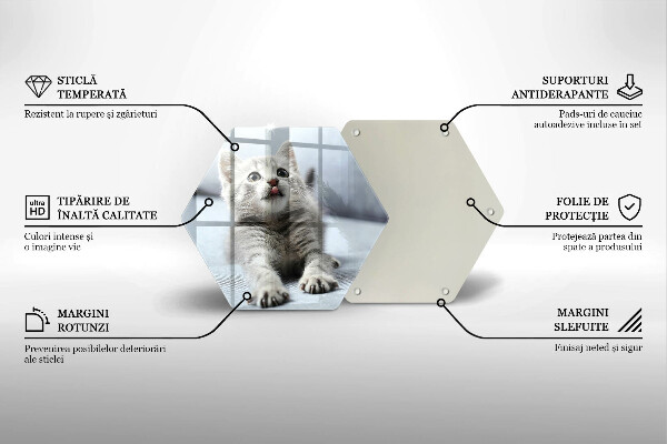 Üveg vágódeszka Aranyos kis cica