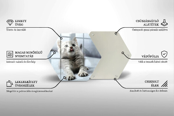 Üveg vágódeszka Aranyos kis cica