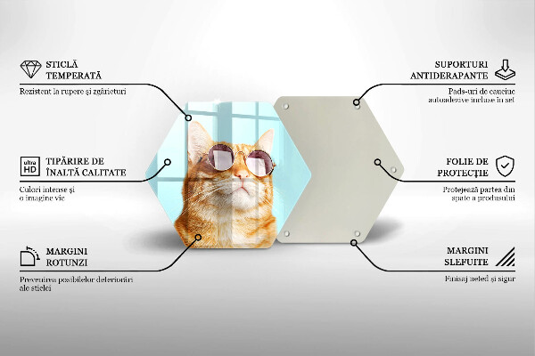 Üveg vágódeszka Vörös macska szemüveggel