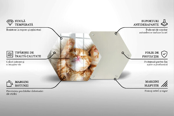 Üveg vágódeszka Aranyos kis cica