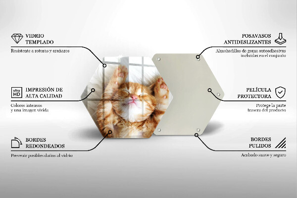 Üveg vágódeszka Aranyos kis cica