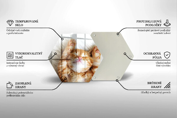 Üveg vágódeszka Aranyos kis cica
