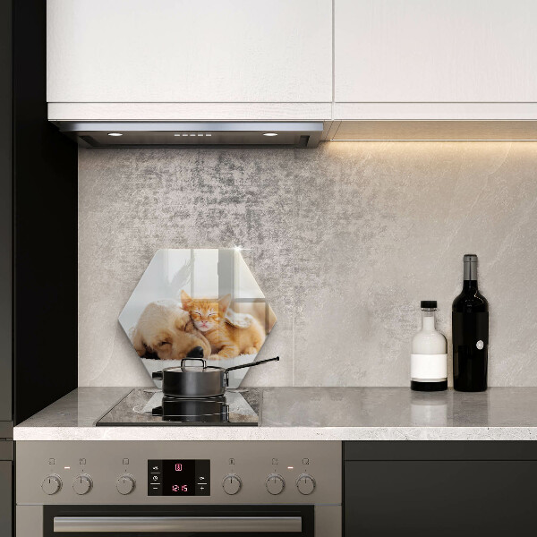 Üveg vágódeszka Állatok kutya és macska