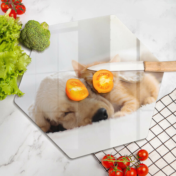 Üveg vágódeszka Állatok kutya és macska