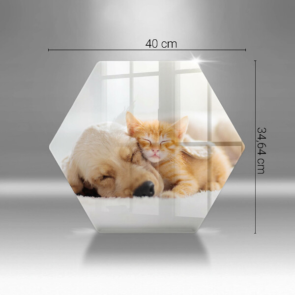 Üveg vágódeszka Állatok kutya és macska