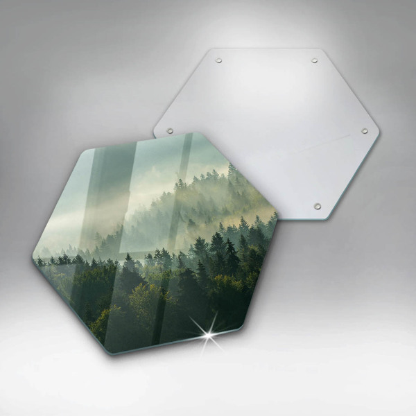 Üveg vágódeszka Tájkép az erdőre