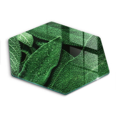 Üveg vágódeszka A növény levelei