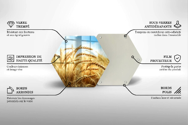 Üveg vágódeszka Kalász gabonafélék a területen
