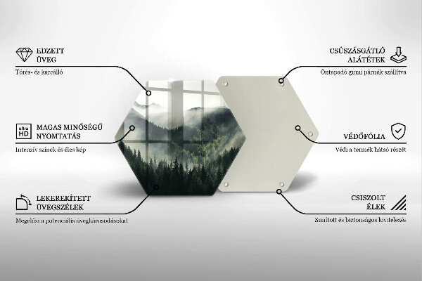 Üveg vágódeszka Erdő és köd táj