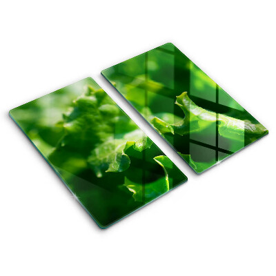Főzőlap védő üveglap Saláta levelek