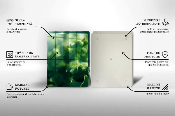 Főzőlap védő üveglap Saláta levelek