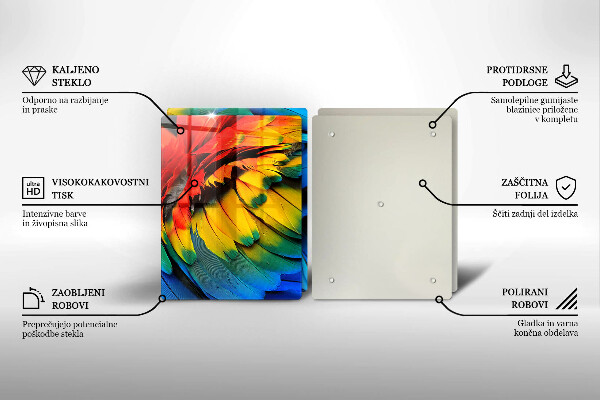 Főzőlap védő üveglap Színes papagáj toll