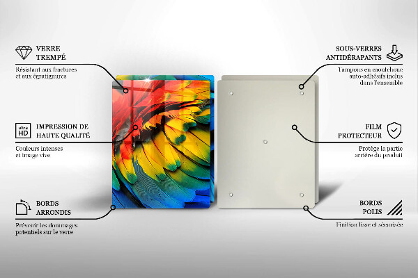 Főzőlap védő üveglap Színes papagáj toll