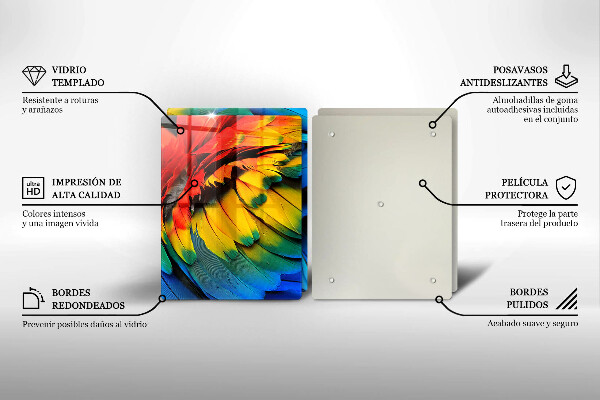 Főzőlap védő üveglap Színes papagáj toll