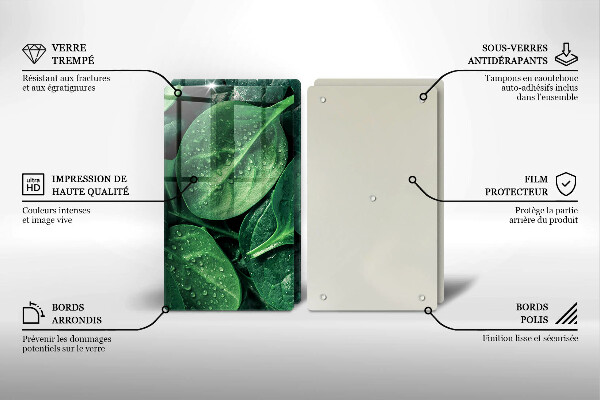 Főzőlap védő üveglap Bazsalikom