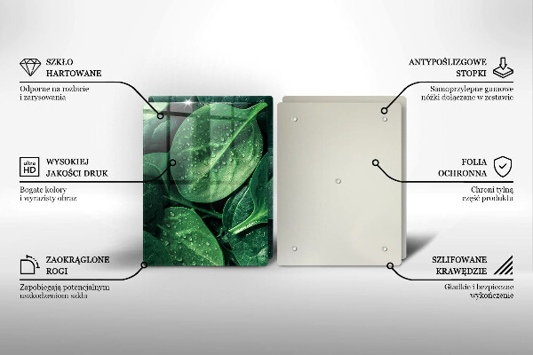 Főzőlap védő üveglap Bazsalikom