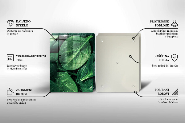 Főzőlap védő üveglap Bazsalikom