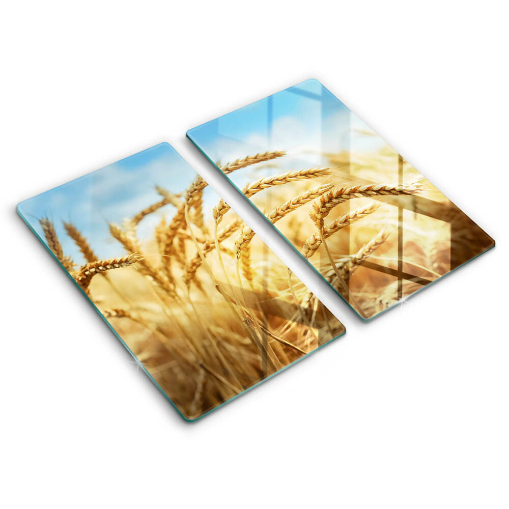 Főzőlap védő üveglap Kalász gabonafélék a területen