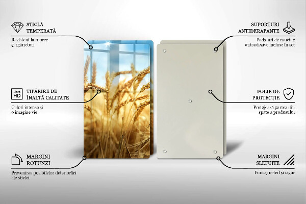 Főzőlap védő üveglap Kalász gabonafélék a területen