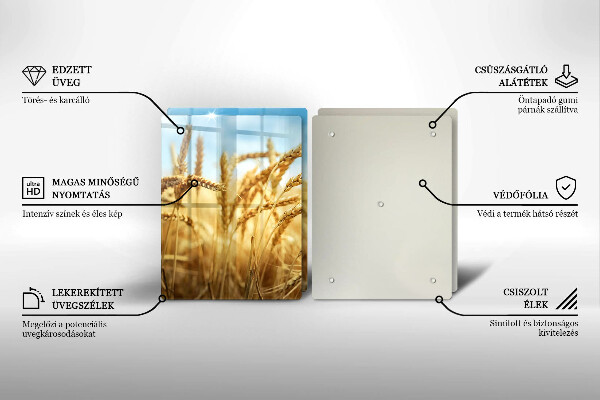 Főzőlap védő üveglap Kalász gabonafélék a területen