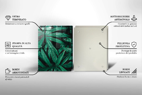 Főzőlap védő üveglap Növények levelei