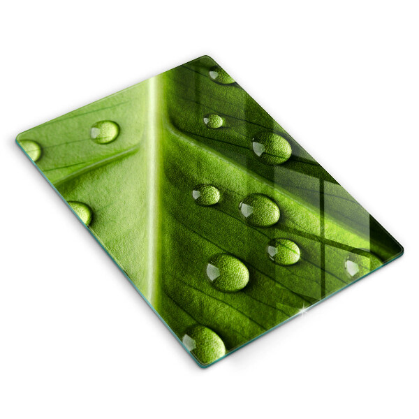 Tűzhely fedőlap Természet harmat és levél