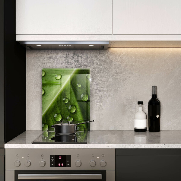 Tűzhely fedőlap Természet harmat és levél