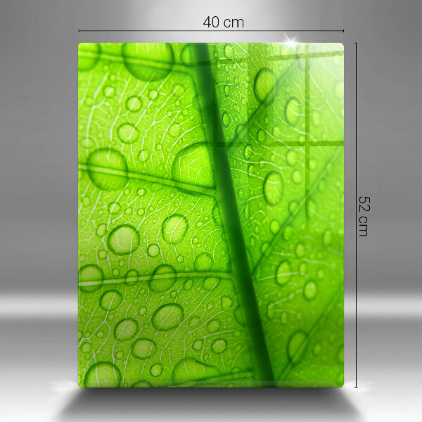 Tűzhely fedőlap Közeli kép egy levélről