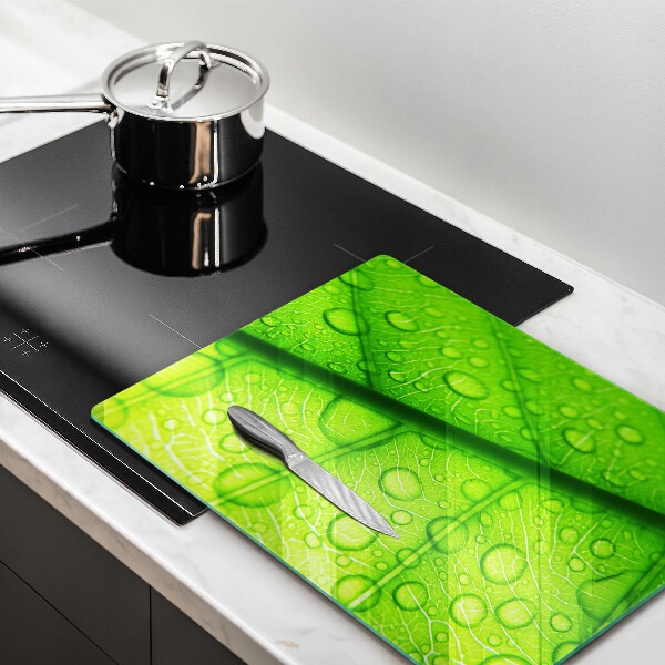 Tűzhely fedőlap Közeli kép egy levélről