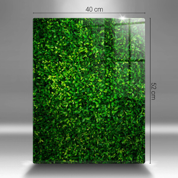 Tűzhely fedőlap Növény kis levelekkel