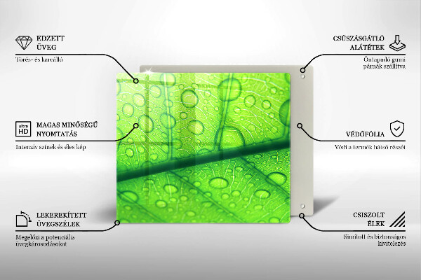 Tűzhelyvédő üveglap Közeli kép egy levélről