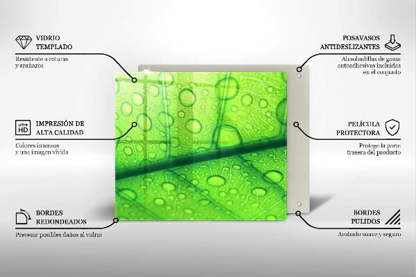 Tűzhelyvédő üveglap Közeli kép egy levélről