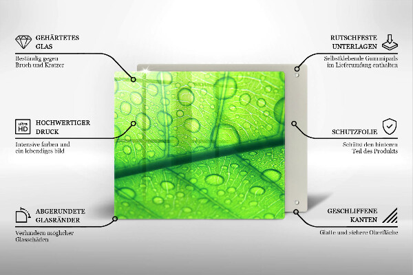 Tűzhelyvédő üveglap Közeli kép egy levélről