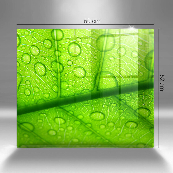 Tűzhelyvédő üveglap Közeli kép egy levélről