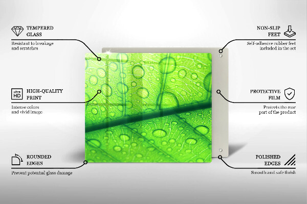 Tűzhelyvédő üveglap Közeli kép egy levélről