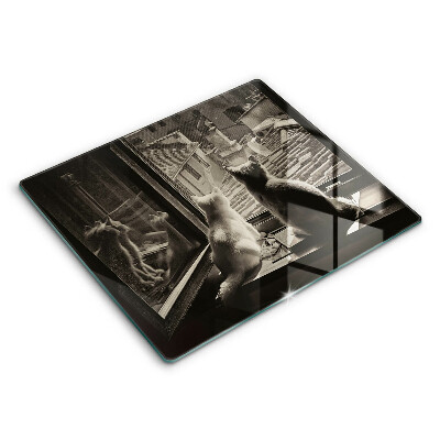 Tűzhelyvédő üveglap Macskák város és ablak