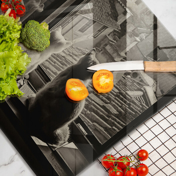 Tűzhelyvédő üveglap Macskák város és ablak