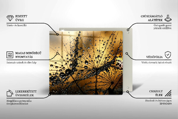 Tűzhelyvédő üveglap Harmat és pitypang
