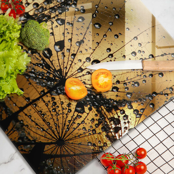 Tűzhelyvédő üveglap Harmat és pitypang