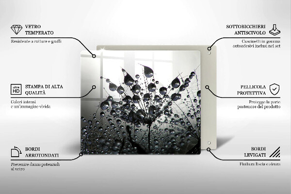 Tűzhelyvédő üveglap Pitypang és harmat
